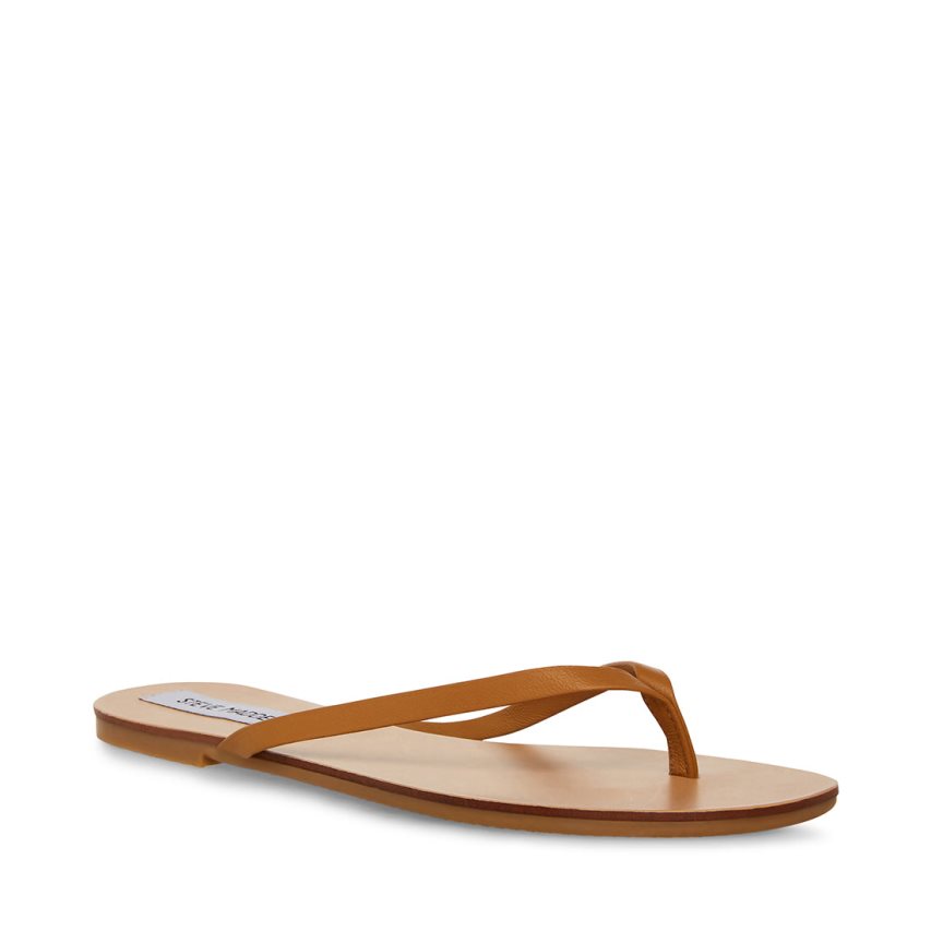 Chanclas Steve Madden Image Cuero Mujer Marrones | ES ZS912S